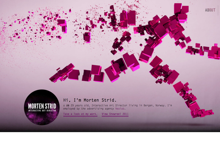 Morten Strid website preview